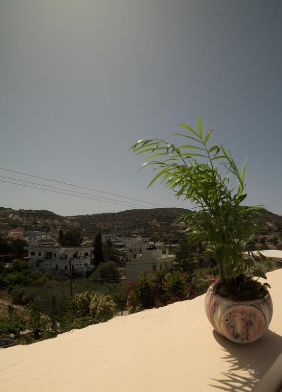 Bodikos Villas & Apartments Pitsidia Dış mekan fotoğraf